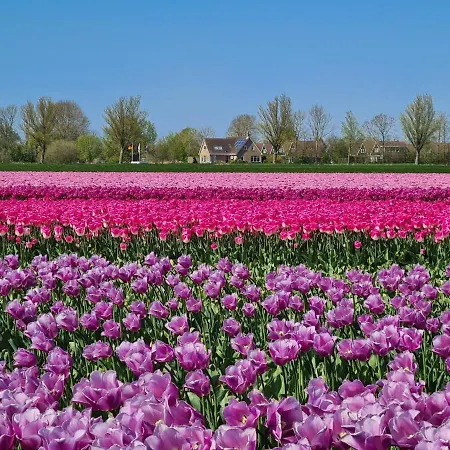 539 Op Recreatiepark De Wielen Sint Maarten
