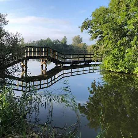 샬레 539 Op Recreatiepark De Wielen *