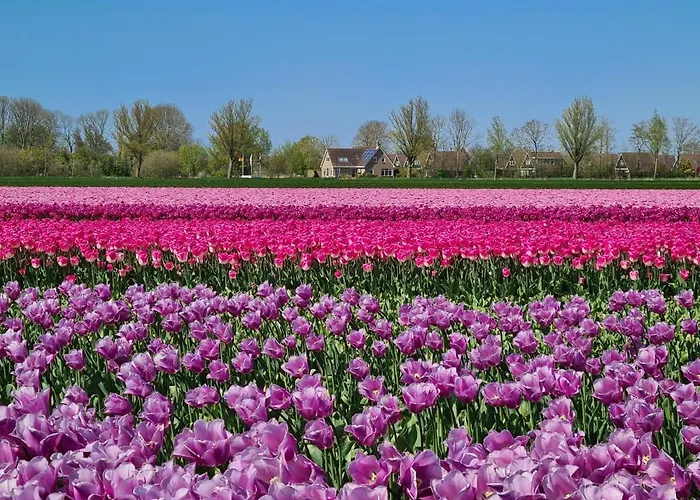 539 Op Recreatiepark De Wielen 신트 마르턴