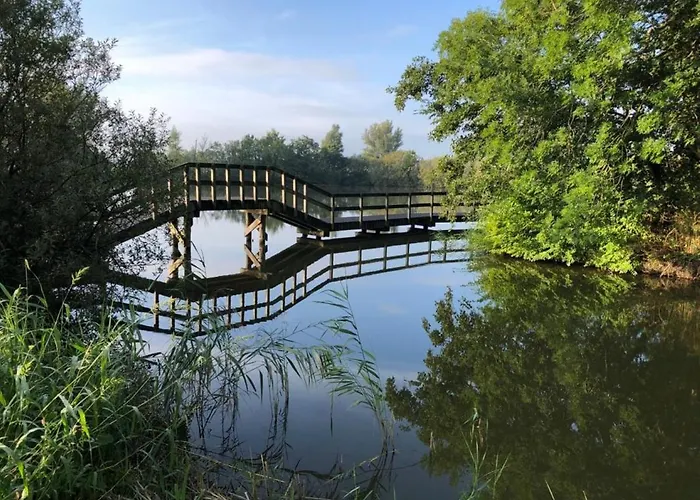 샬레 539 Op Recreatiepark De Wielen *